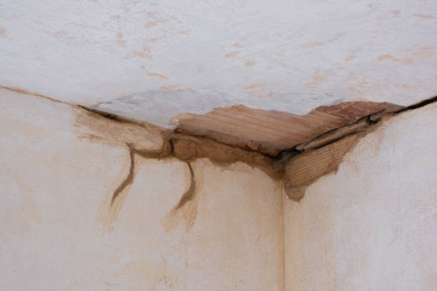 Best Water damage contractors near me  in Terrace Heights, WA