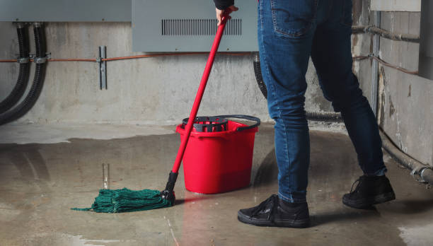 Best Sewage cleanup and water damage restoration  in Terrace Heights, WA