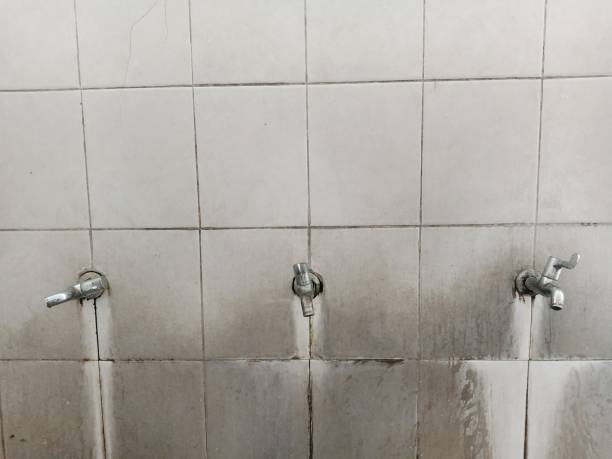 Best Water damage repair service  in Terrace Heights, WA