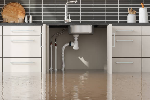 Best Water damage cleanup near me  in Terrace Heights, WA