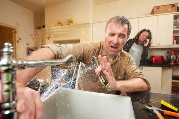 Best Local water damage restoration  in Terrace Heights, WA